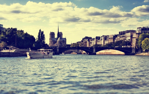 Мост в Париже