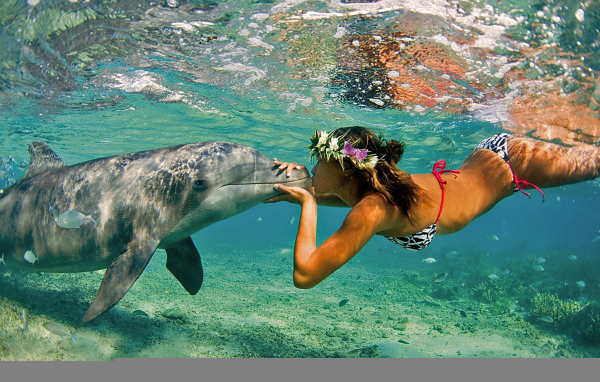 Поцелуй дельфина