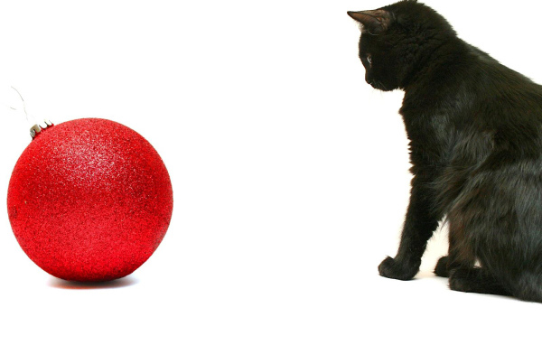 Чёрный кот и красный шар