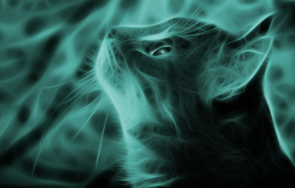 Кошка в зеленом тоне