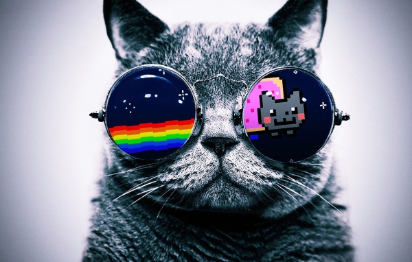 Кот в очках Hello Kitty