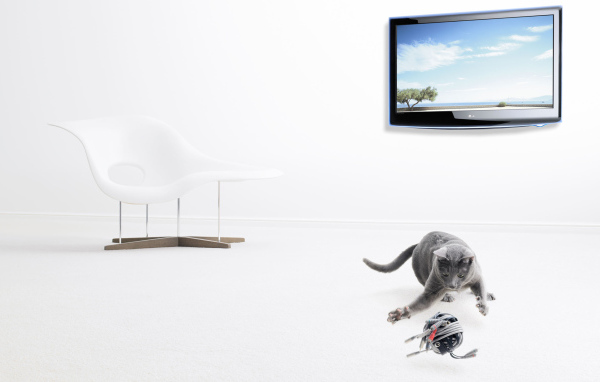 Серый кот и его игрушка