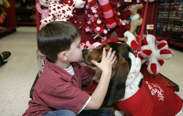 Бассет-хаунд и ребёнок