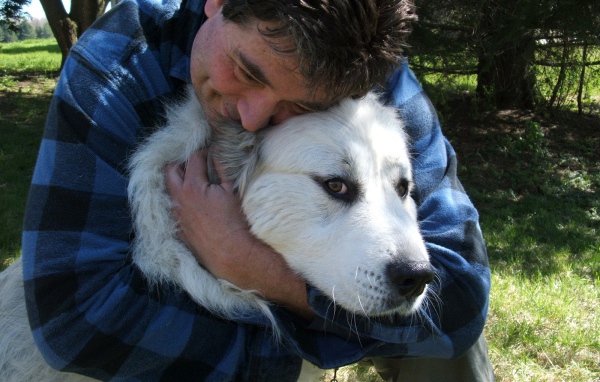 Большая пиренейская собака и любящий хозяин