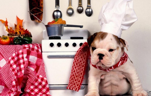 Шеф Шарпей на кухне