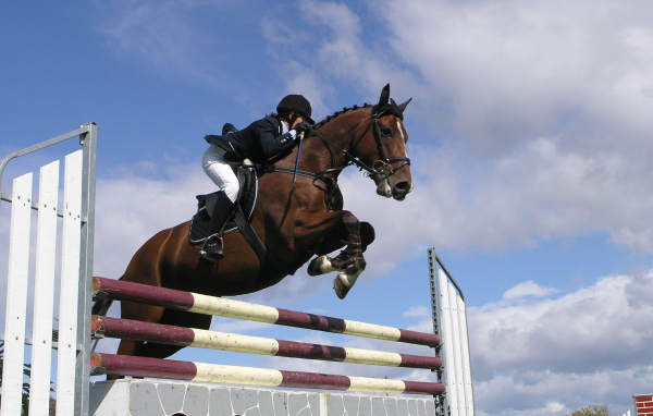 Знаменитые лошади