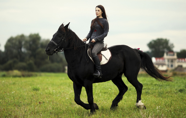 Лошадь со всадником