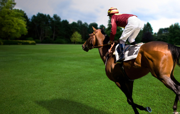 Езда на лошади