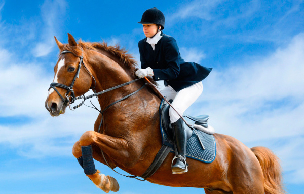 Лошадь скачущая