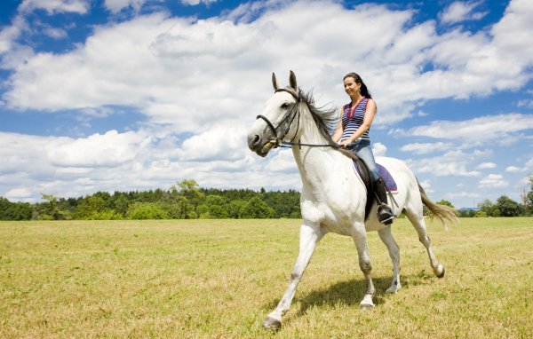 Катание на лошадях