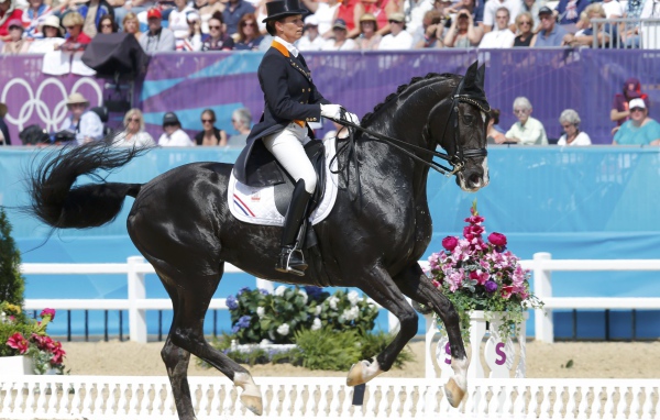 Всадник на лошади