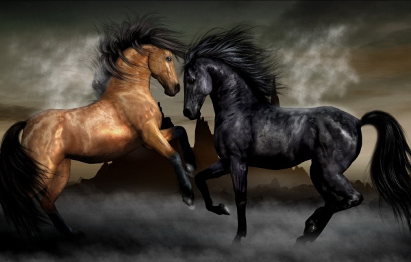 Две лошади черная и коричневая