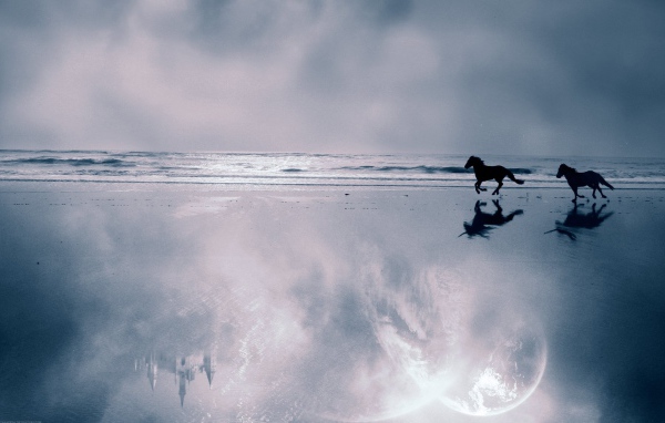 Мир лошадей