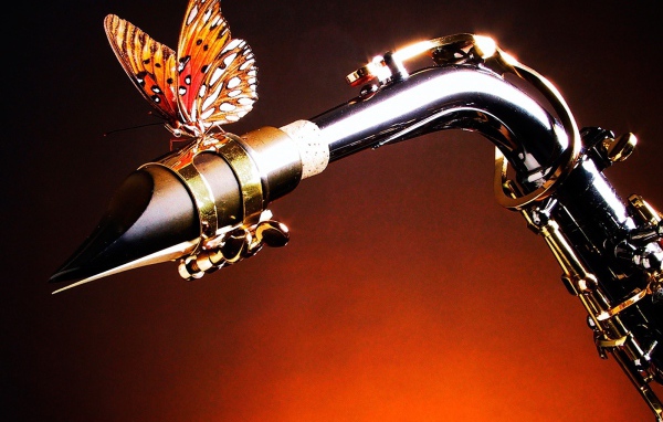 Бабочка на саксофоне