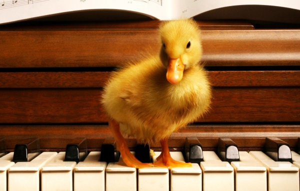 Я учусь играть