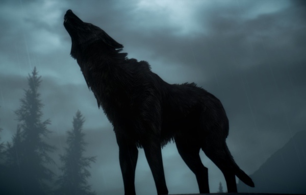 Волк воет на луну