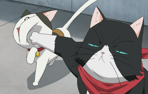 Кошачьи прихоти