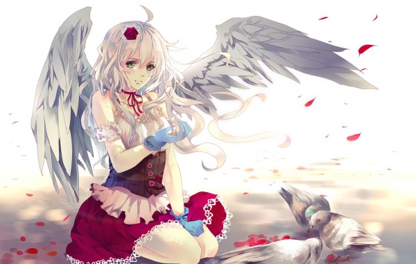 Девочка кормит птиц