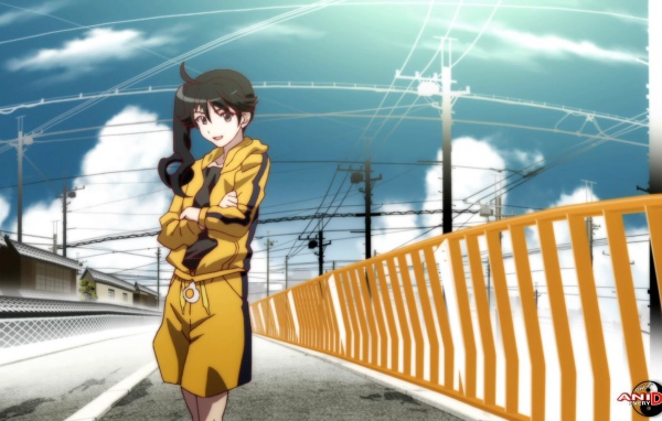 Истории подделок