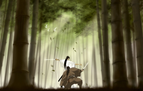 Манускрипт ниндзя