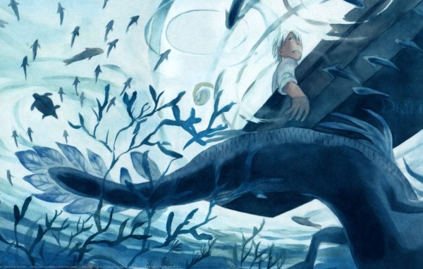 Мастер Муси