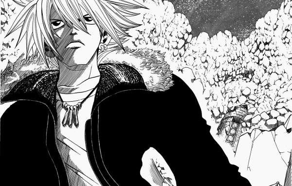 Рэйв Мастер