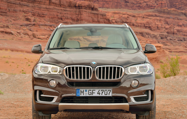 Коричневый BMW X4 кроссовер