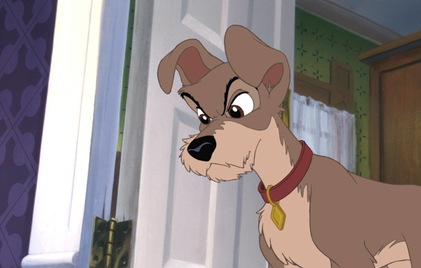 Приключения большого Джеффа