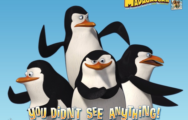 Пингвины из Мадагаскара