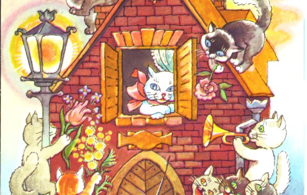 Домашние коты