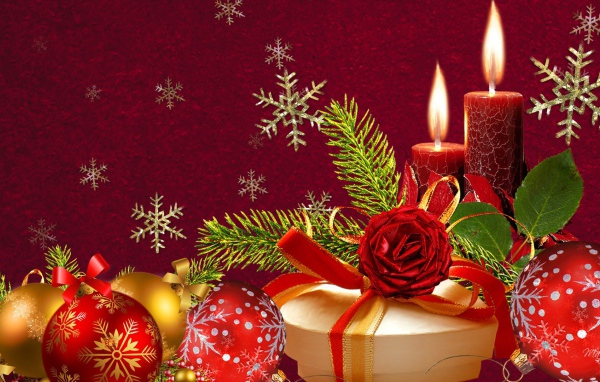 Красивая картинка в красных цветах на рождество