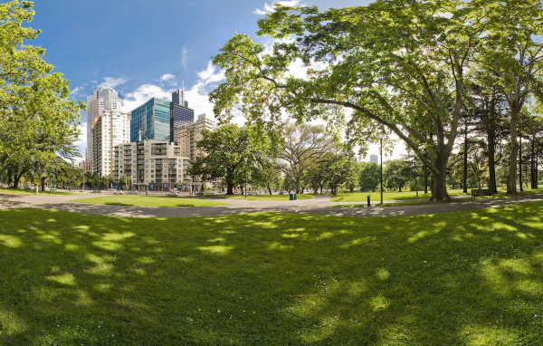 Городской парк летом