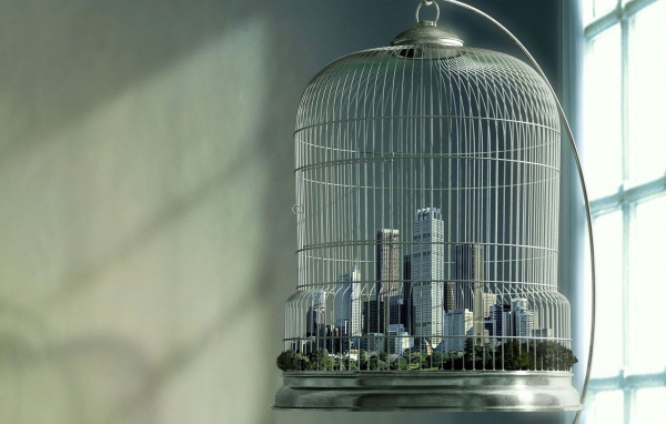 Город в клетке