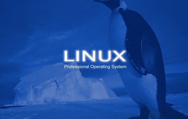 Linux operating system