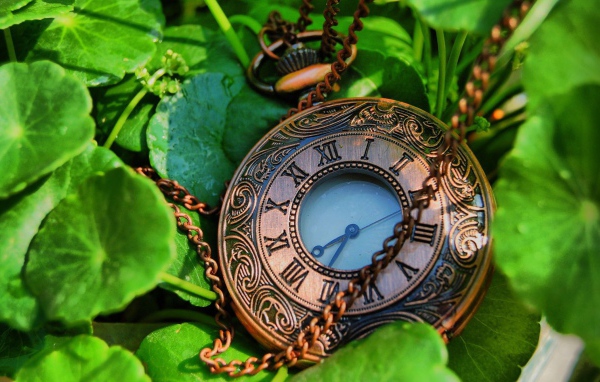 Карманные часы с цепочкой