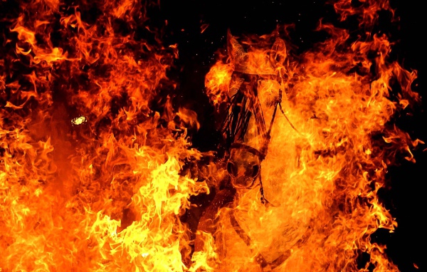 Год огненной лошади