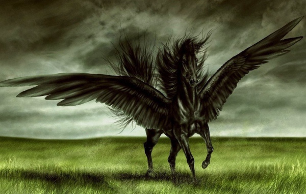 Лошадь пегас