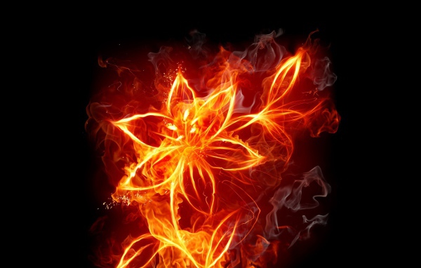 Фантазия Огненный цветок