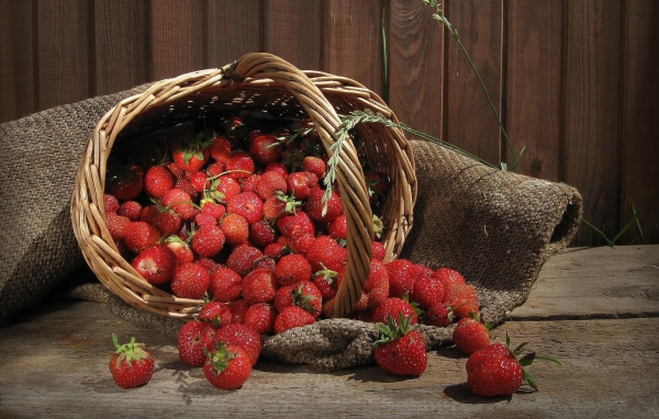 Basket with strawberries