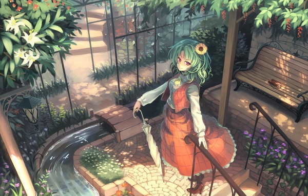 Видео игра вода Touhou