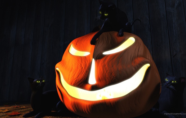 Три черных кота