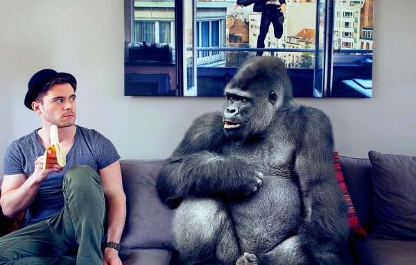 Давид Олкарни с обезьяной
