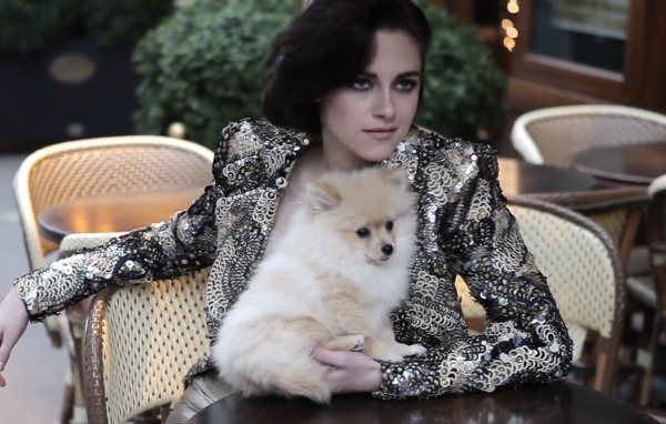 Актриса Кристен с собакой