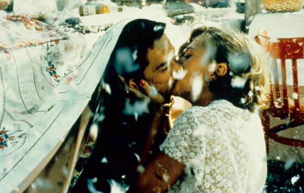 Чёрная кошка, белый кот