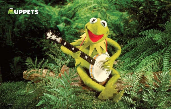 Лягушка с банджо