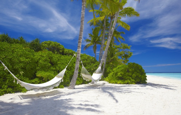 Гамаки подвешены на пальмах