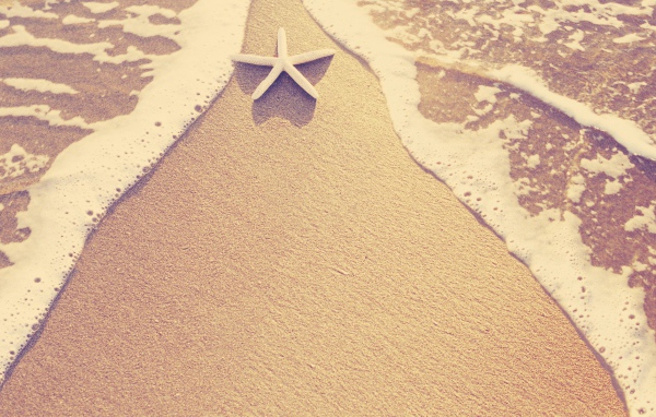 Морская звезда на пляже