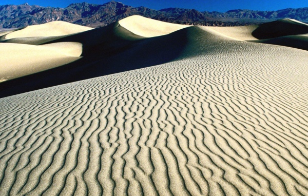 Дюны и барханы в пустыне