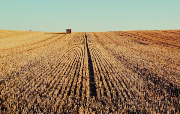Осень скошенное поле
