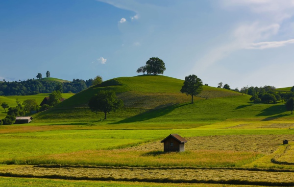 Урожайные поля
